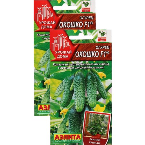 ���� ������ ������ F1 (10 �����), 2 ������ - ������ ���� ������ ������