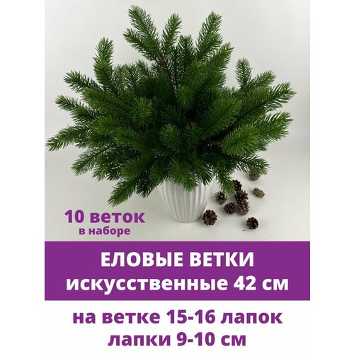 ���� ������ ����� ������������� ������������, 16 �����, 42 ��, ����� 10 ����� ������ ������