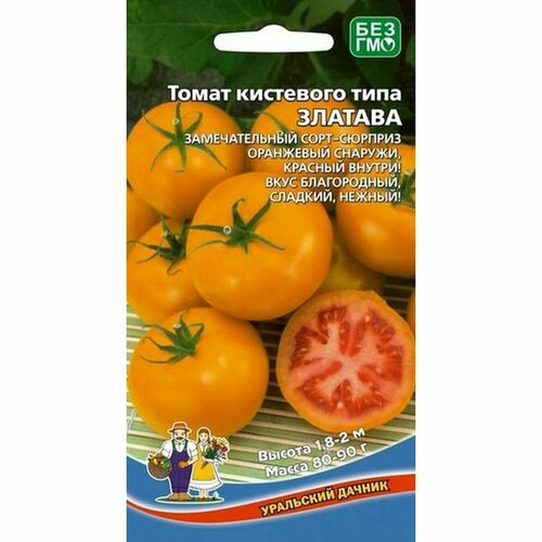 ���� ������ ����� ������� ��������� ����, ������������, ������������, 12�� ������ ������