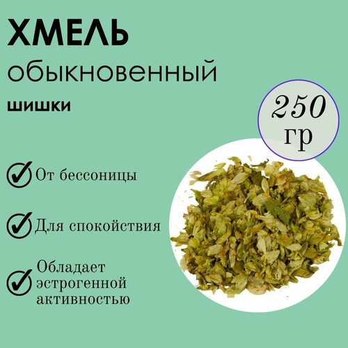 ���� ����� ����� 