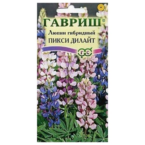 ���� ������. ����� 