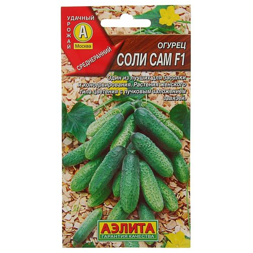 ���� ������ ������ 