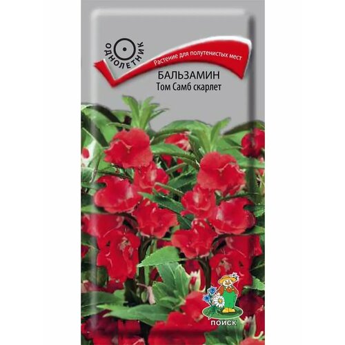 ���� ��������� 