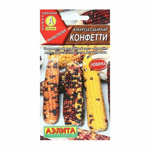 ���� ������ �������� �������� ��������, 5 �� ������ ������