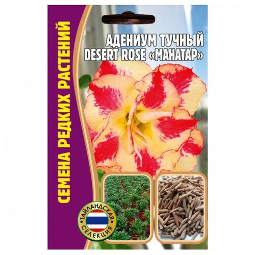     DESERT ROSE 