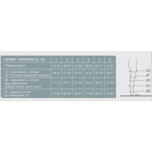   Ergoforma 211      , , 1 , : 2,   