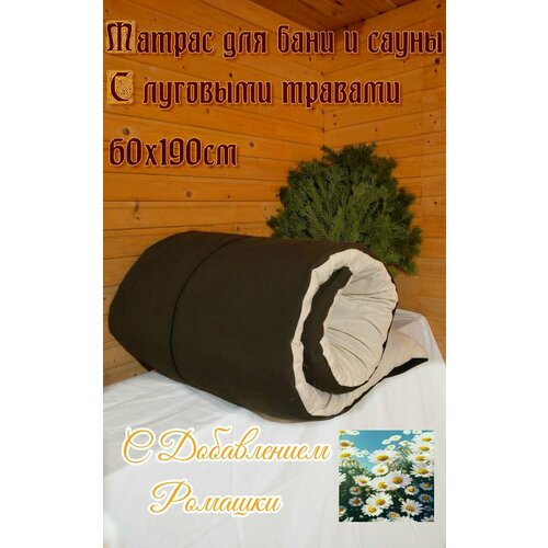 ���� SENO OK ������ ��� ���� � ����� � �������� ������� � ����������� ������� ������ ������