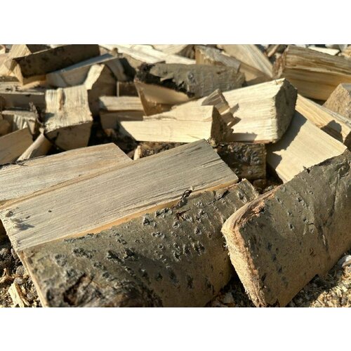 ���� �������� ����� 20 �� ����� ��� ������ ������ ������