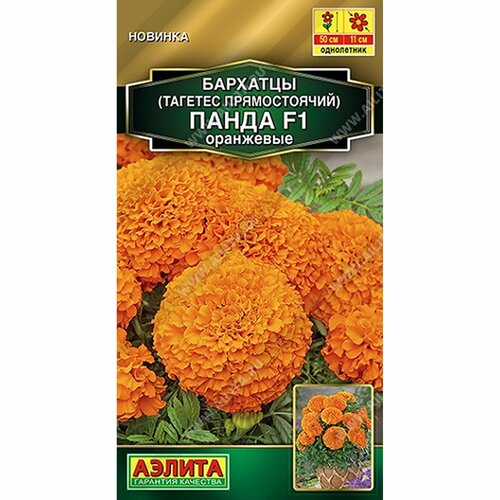 ���� ������ �������� ����� F1 ��������� ����, ����������, (������) 7�� ������� ����� ������ ������