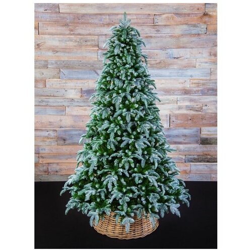    Triumph Tree   , 155    -     , -, 