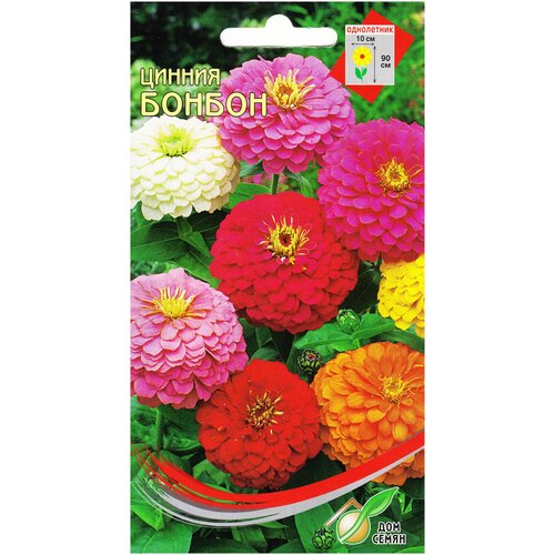 ���� ������ ������, 25 ����� ������ ������