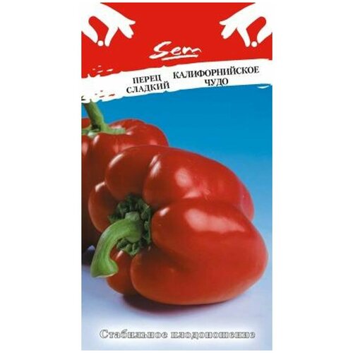 ���� ������ ����� �������������� ���� 0,3� (5-6��) (������� ������) ������ ������