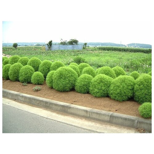 ���� ����� ���������, ������ ������ ������