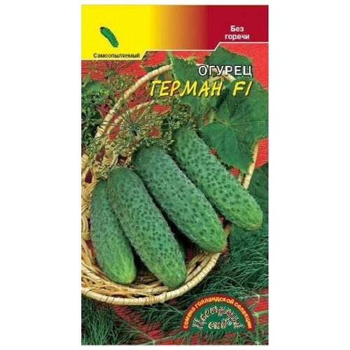 ���� ������ �������� ��� 