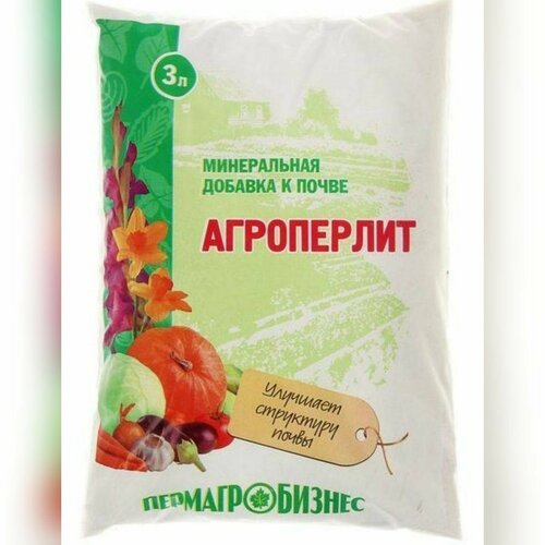 ���� ����������, ����������� ������� � �����, 3 � ������ ������