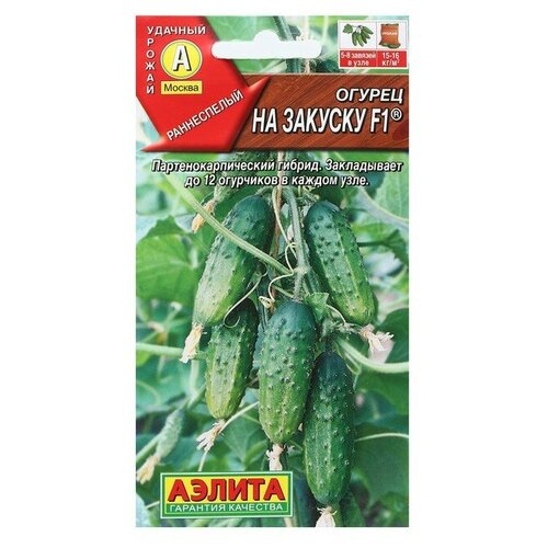 ���� ������. ������ 