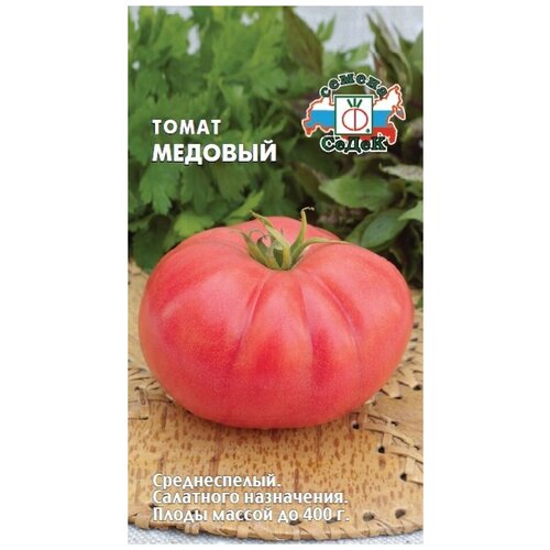 ���� ����� ������� ������ ������