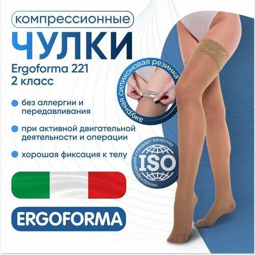    Ergoforma 221      , 2 ,  6,    -     , -, 