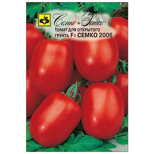 ���� ������ ������ 