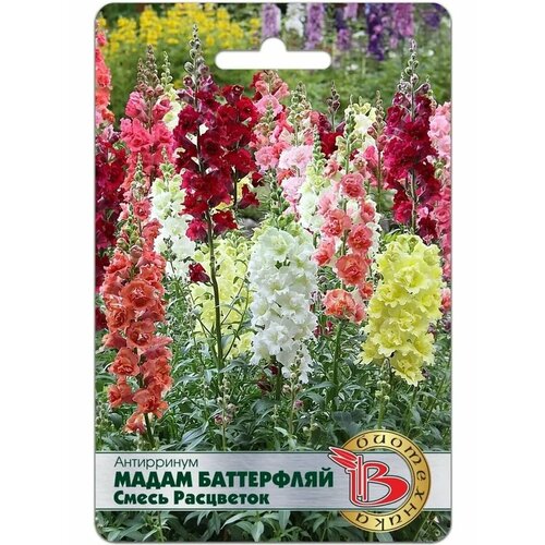 ���� ������� ��� (����������) �������� ����� ����������, ����� ������ ������