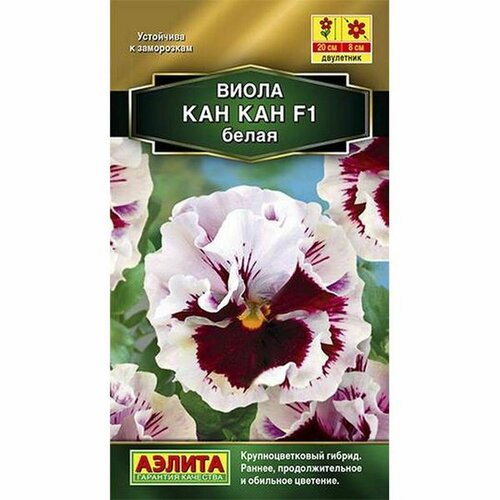 ���� ������ ����� ��� ��� F1 ����� , ���������, (������) 7�� ������ ������