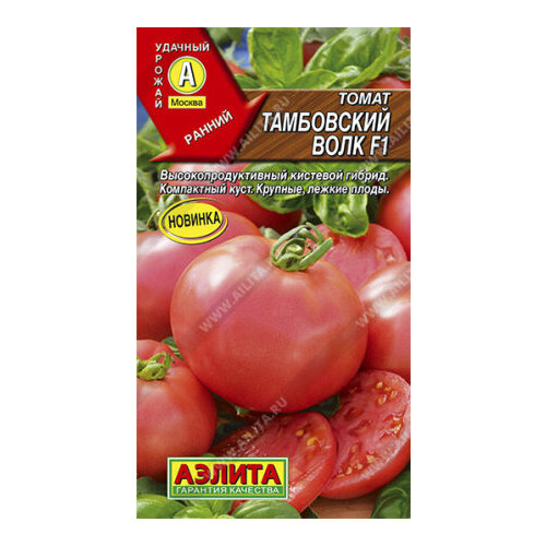 ���� ������ ����� ���������� ���� F1 20�� ����� ������ (������) ������ ������