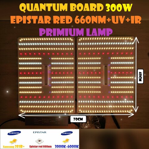     /  Quantum board   300  Mean well,  LM281B 288-2 5000 450nm-660n   -     , -, 