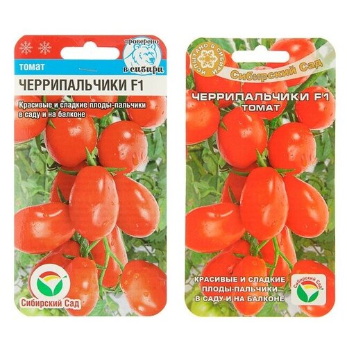 ���� ����� ������������� F1 (15��) 