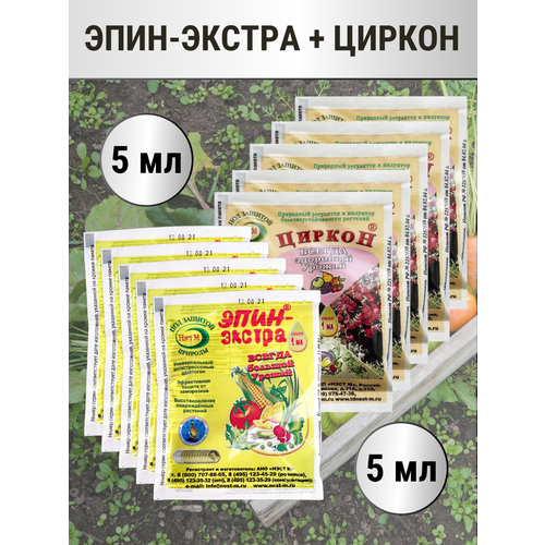 ���� ����-������ 1 �� + ������ � ������������� 1 ��, �������� 5+5 ������ ������