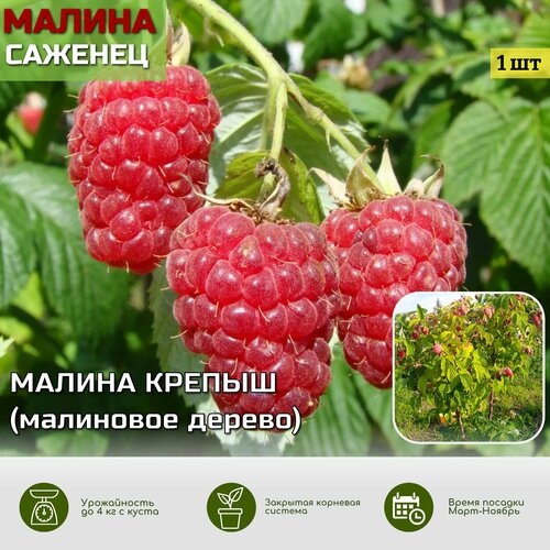 ���� ��������� ������ ������ ������� ��� ������ ������