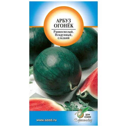 ���� ����� ������, 10 ����� ������ ������