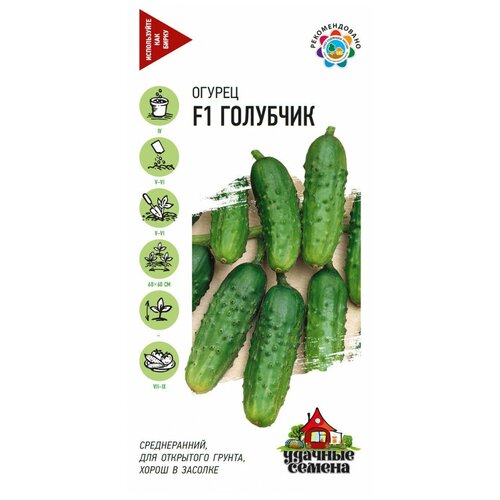 ���� ������. ������ 