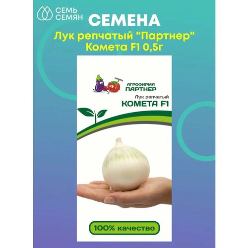 ���� ��� �������� 