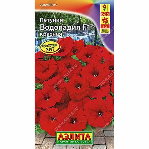 ���� ������ ������� ��������� F1 �������, ����������, (������) 5�� ������ ������