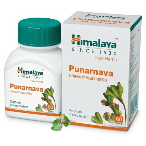   Himalaya Wellness Pure Herb 60 .   -     , -, 