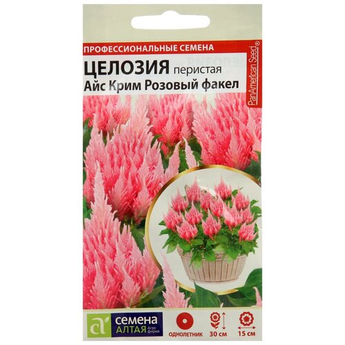 ���� ������ ������� ��� ���� ������� ����� �������� ���������� 10 ��./��. ������ ������