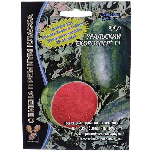 ���� ������ ����� 