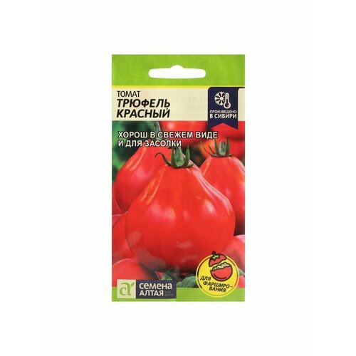 ���� ������ ����� 