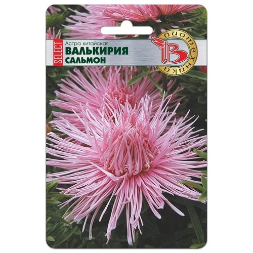 ���� ������ ���������� ����� ��������� ������ ������� ������ ������