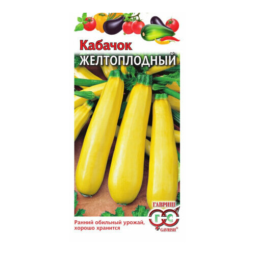 ���� ������ ������� ������������ 2� ������ ������ (������) ������ ������