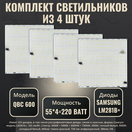        Samsung LM281b+(4 .)/ quantum board/  /  QBC 600 / 4000, 450-660 /       -     , -, 