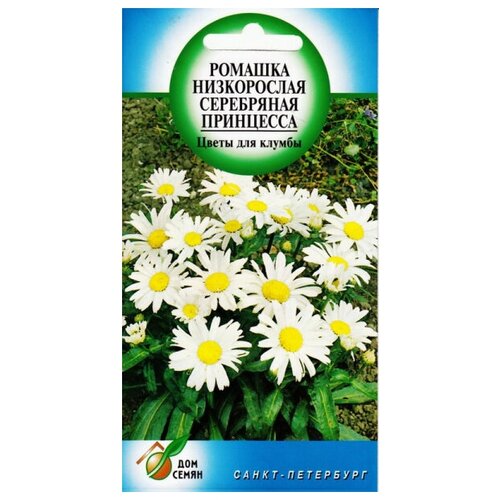 ���� ������� ����������� ����������� ���������� ���������, 80 ����� ������ ������