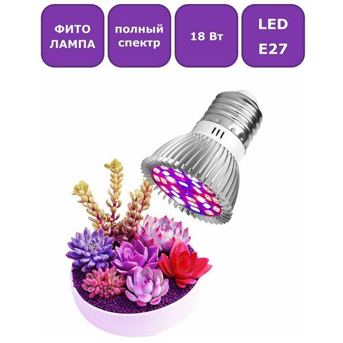    (  )   Maple Lamp PhytoLED, 27, 18 , . Q0048-E27-18-Full   -     , -, 