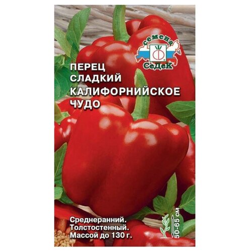 ���� ����� ������� �������������� ���� ������ ������