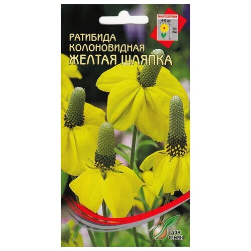 ���� �������� ����������� ������������ ������ �����, 55 ����� ������ ������