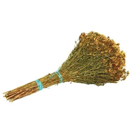 ���� ����� �������� �� �������� ������ ������