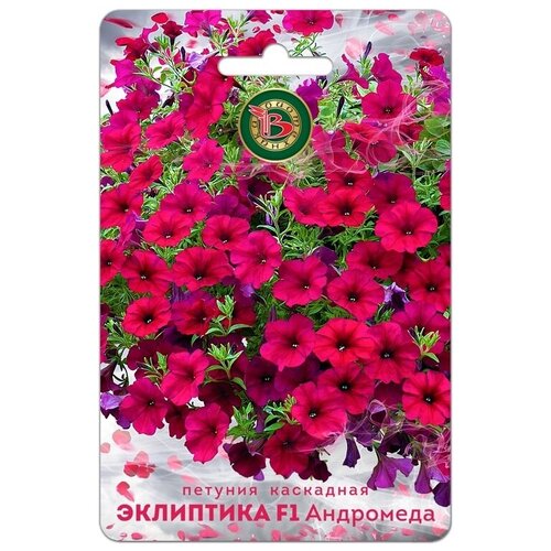 ���� ������ ������� ��������� 