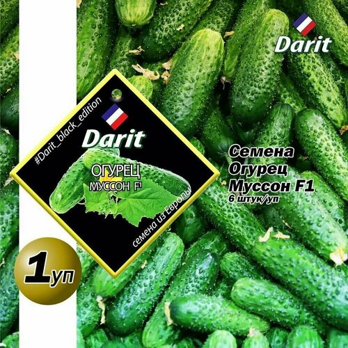   Darit   F1 6/, 1    -     , -, 