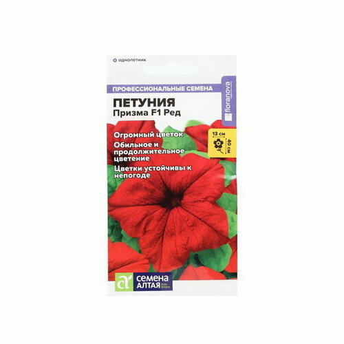 ���� ������ ������ ������� 