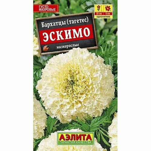 ���� ������. �������� 